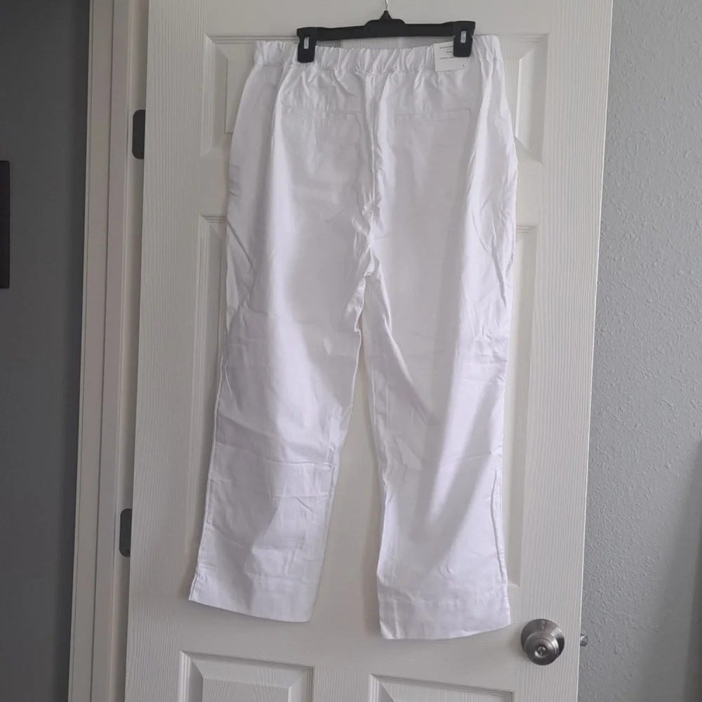 Ankle Pants 6/26